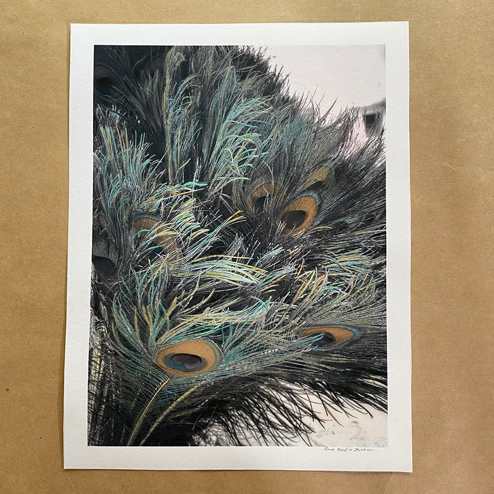 Peacock Feathers of India – Ema Frost x Satoki Studio
