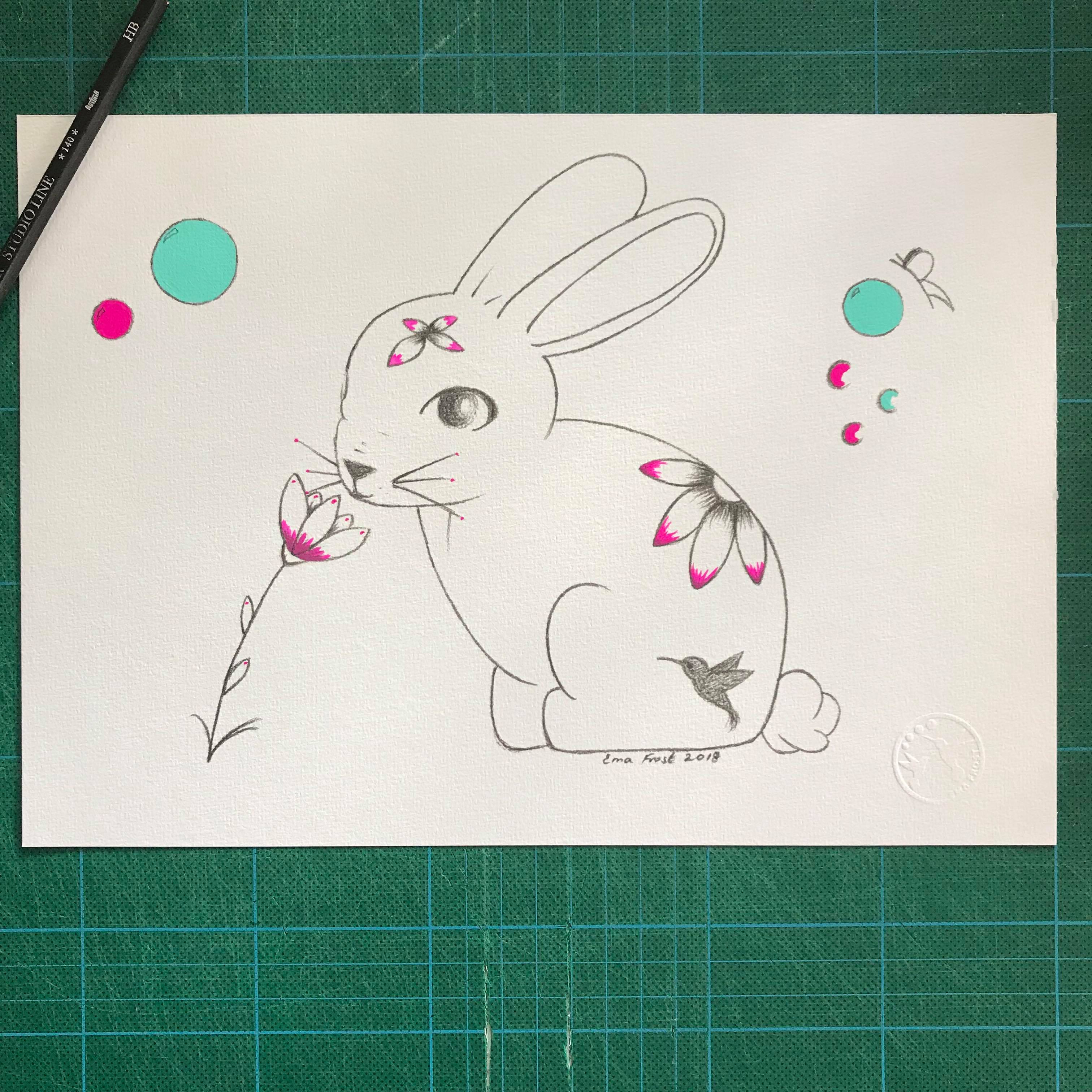 Bunny & The Pink Dust // Pink/Green